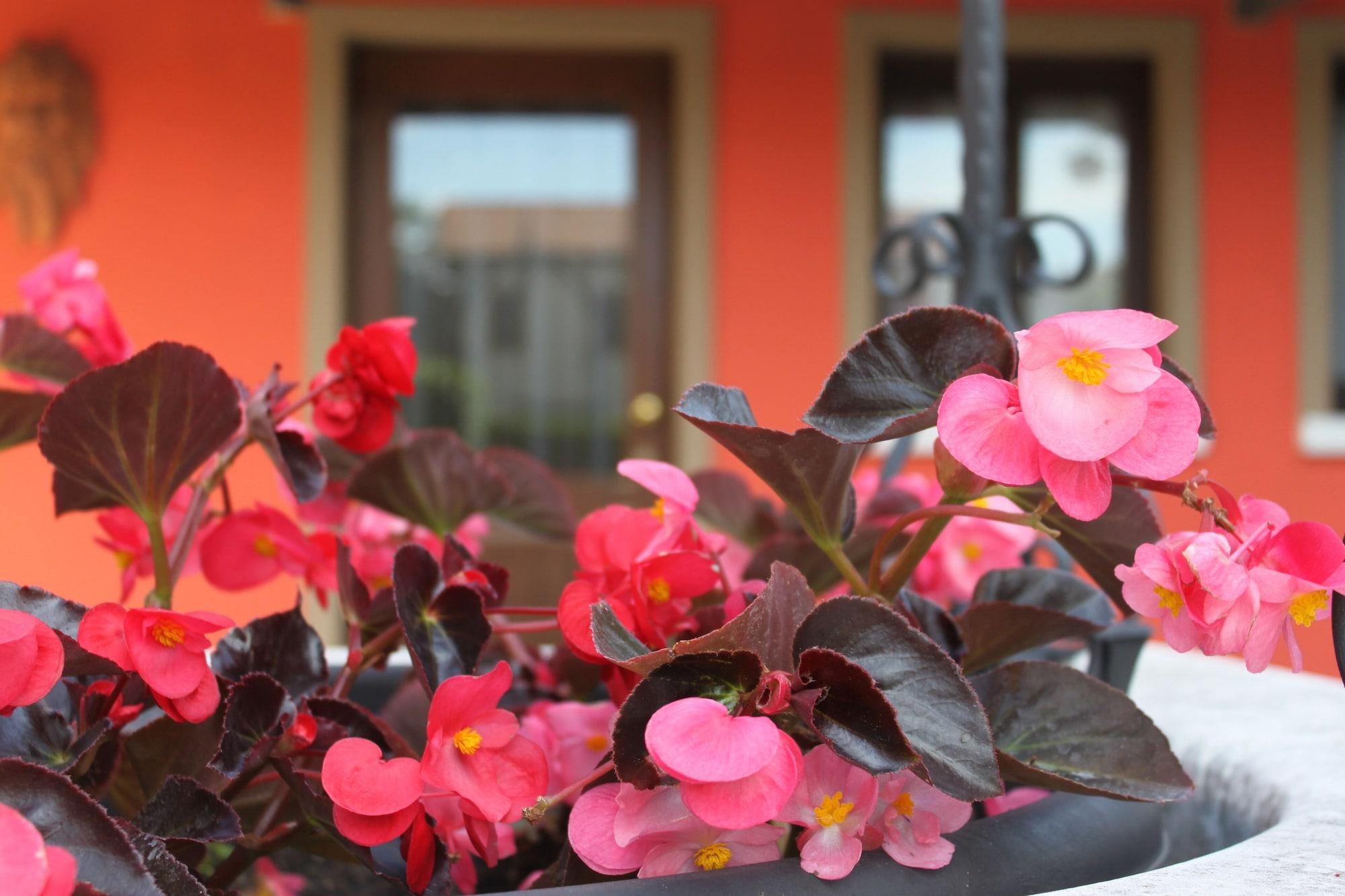 Stucky Hotel Mogliano Veneto